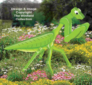 3D Giant Praying Mantis Pattern