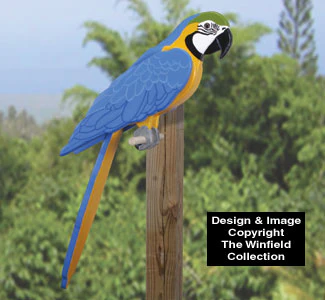 3D Life-Size Blue Macaw Wood Pattern