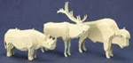 3D Wildlife Project Patterns