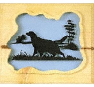 Bird Watching Project Pattern