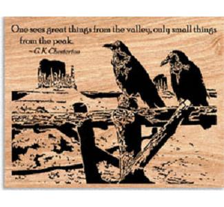 Desert Ravens Project Pattern