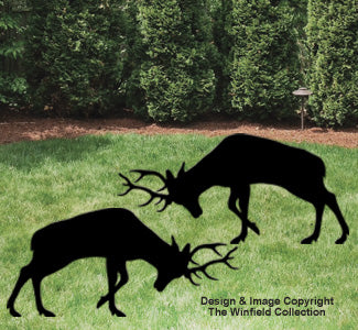 Fighting Bucks Shadow Pattern