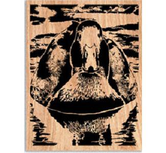 Mallard Project Pattern
