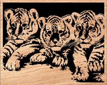 Playful Cubs Scrolled Art Pattern