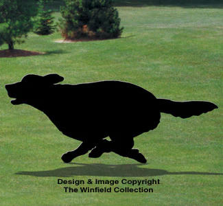 Running Golden Retriever Shadow Pattern(F)