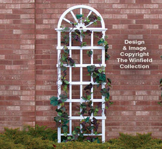 Wagon Wheel Trellis Woodcraft Pattern(F)
